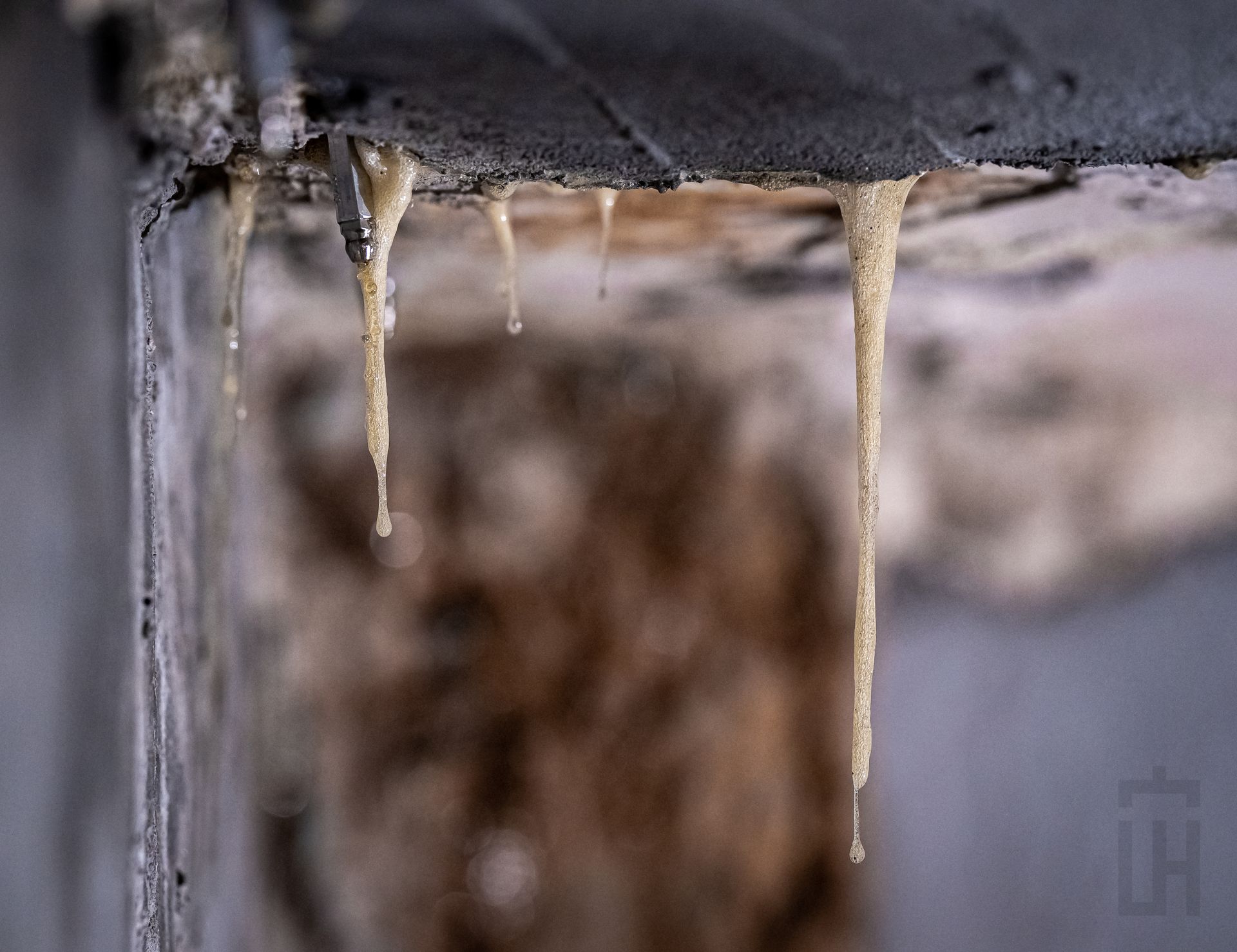 Leak Detection & Waterproofing Repairs Leak Detection & Waterproofing Repairs